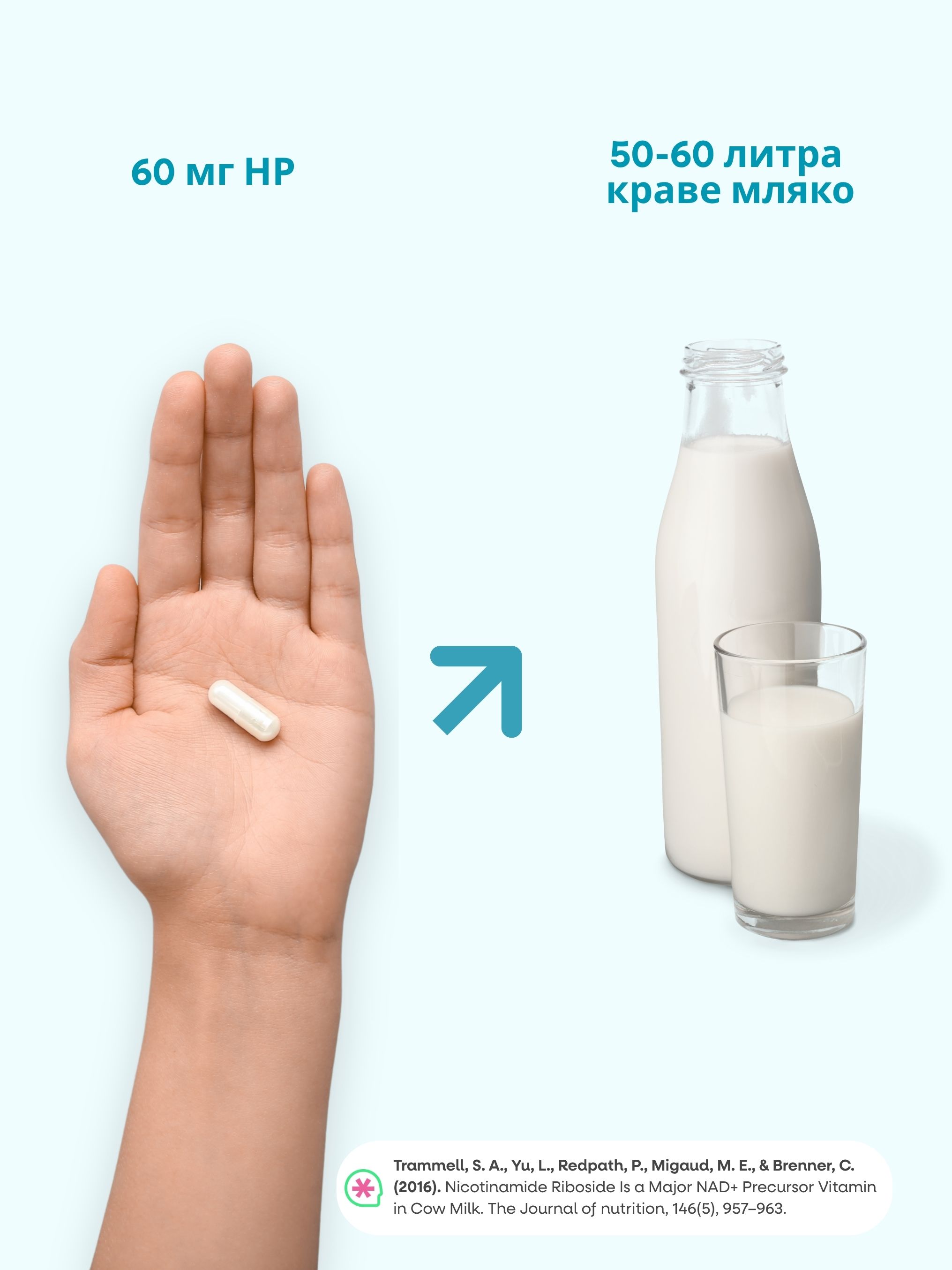 (Bulharština) (2)